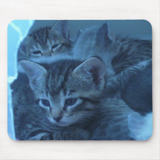 Katze mousepad (Vorne)
