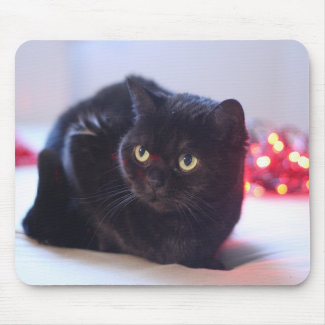 Katze Mousepad (Vorne)