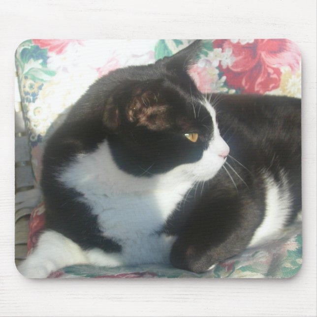 Katze Mousepad (Vorne)