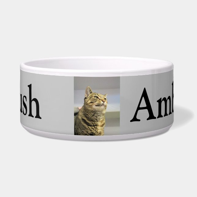 Katze Napf (Vorderseite)