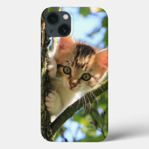 Katze, Natur, Kitten Case-Mate iPhone Hülle