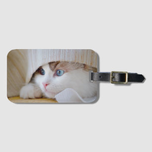 Katze, Natur, Kitten Gepäckanhänger