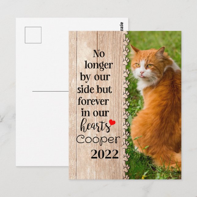 Katze nicht mehr auf unserer Seite, sondern für im Postkarte (Vorne/Hinten)
