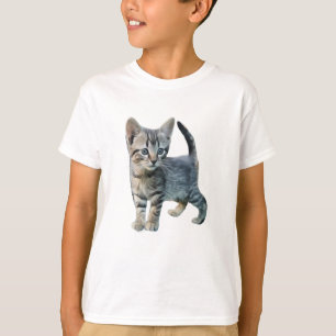 Katze Niedlich Katzen Kätzchen Niedliche Tiere T-Shirt