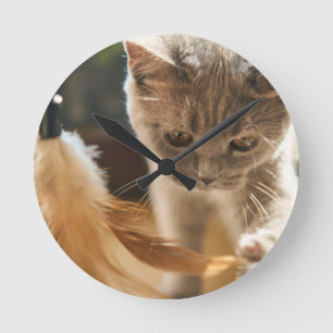 Katze, Niedlich, klein Runde Wanduhr