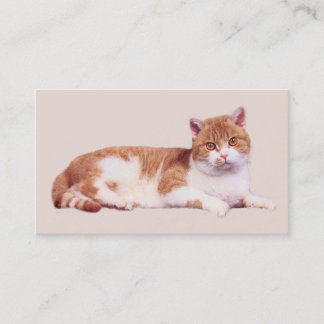 Katze niemanden Purrfect Visitenkarte