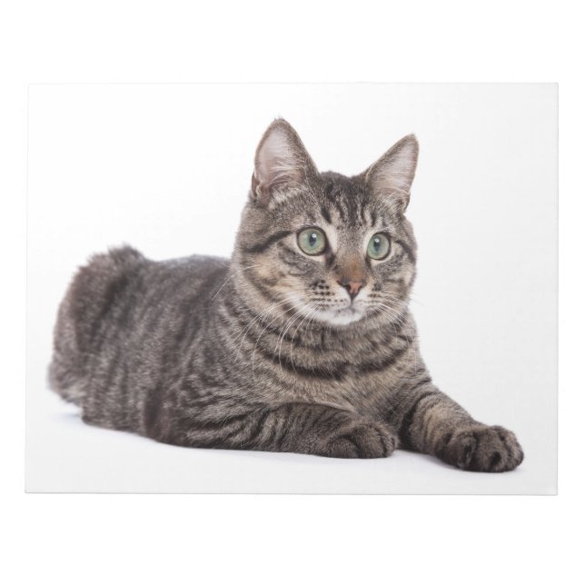 Katze Notizblock (Vorderseite)