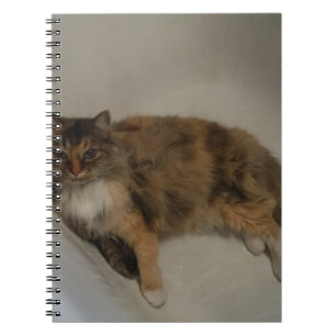 Katze Notizblock