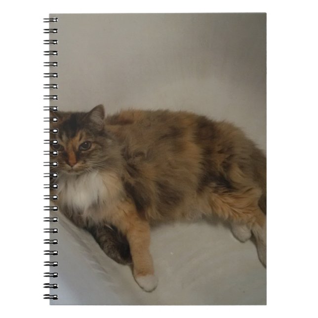 Katze Notizblock (Vorderseite)