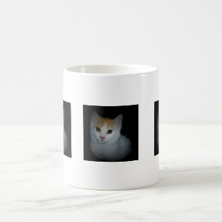 Katze Nr. 4, Tasse
