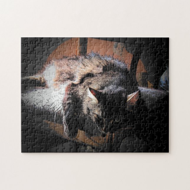 Katze oder Ihr Foto-Puzzle Puzzle (Horizontal)