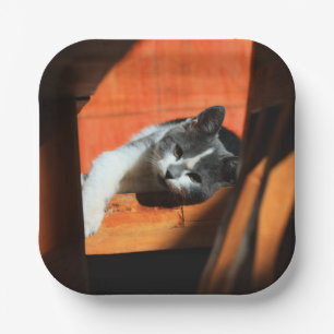 Katze Pappteller