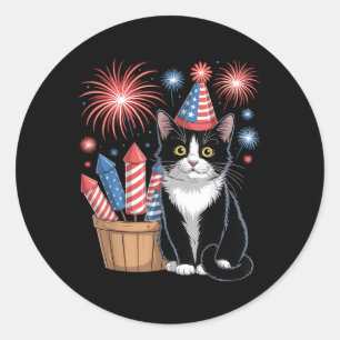 Katze Patriotisch Amerika Katzen USA-Flagge Feuerw Runder Aufkleber
