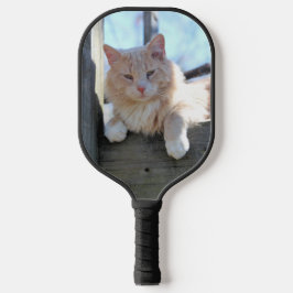 Katze Pickleball Schläger
