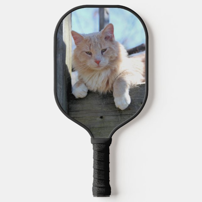 Katze Pickleball Schläger (Vorderseite)