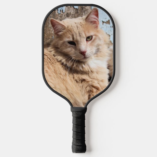 Katze Pickleball Schläger (Vorderseite)