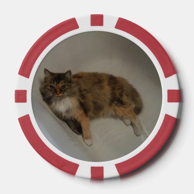 Katze Pokerchips (Vorderseite)