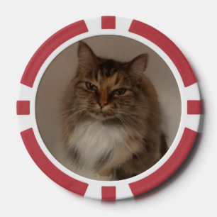 Katze Pokerchips