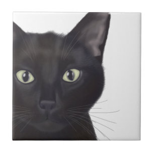 Katze, Portrait von Gus Fliese