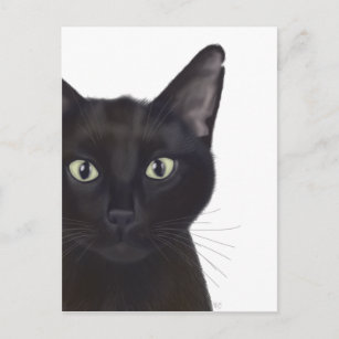 Katze, Portrait von Gus Postkarte