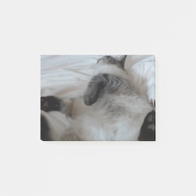 Katze Post-it Klebezettel (Vorderseite)