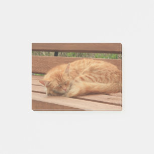 Katze Post-it Klebezettel