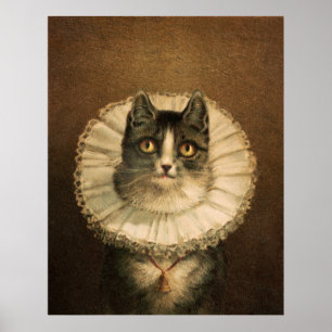 Katze Poster