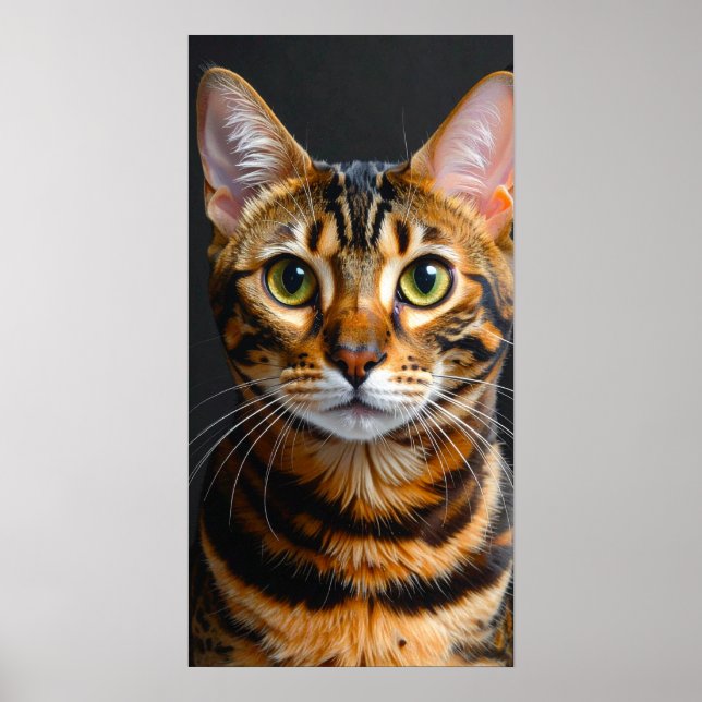 Katze Poster (Vorne)