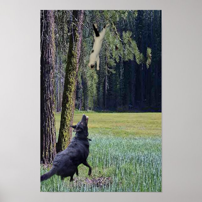 KATZE POSTER (Vorne)