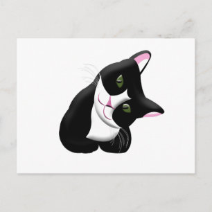 Katze Postkarte