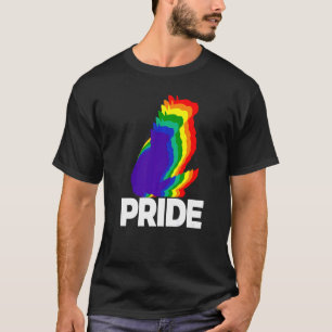 Katze Pride Cat Rainbow Color Cat Kitten 9 T-Shirt