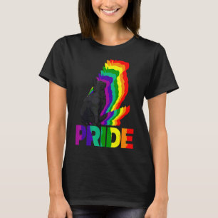 Katze Pride Katze Rainbow Colorkatze Kitten 11 T-Shirt