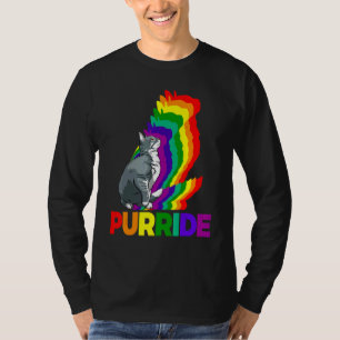 Katze Pride Purride Katze Rainbow Colat Kitten 4 T-Shirt