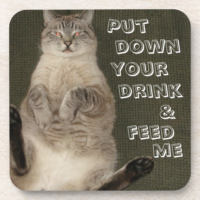 Katze "PUT DOWN DRINK & FÜTTRE ME" Untersetzer - S (Vorderseite)