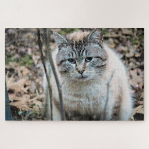 Katze Puzzle