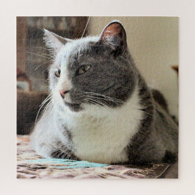 Katze Puzzle (Vertikal)