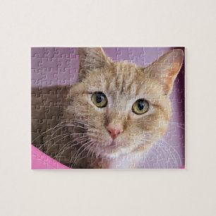 Katze Puzzle