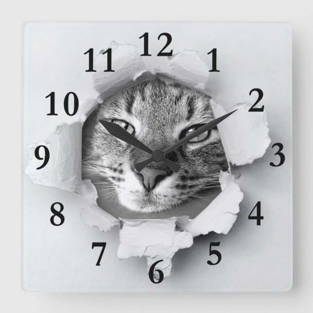 Katze Quadratische Wanduhr (Vorderseite)