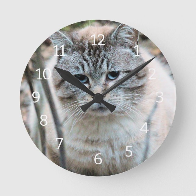 Katze Runde Wanduhr (Vorderseite)