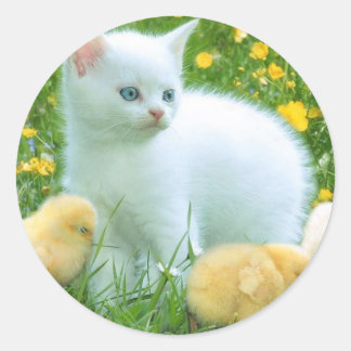 Katze Runder Aufkleber