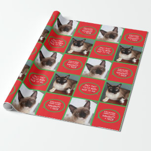 Katze Sankt kratzt Packpapier