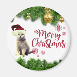 Katze,Santa-Hut,Weihnachtsbälle Magnet