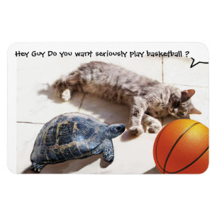 KATZE, SCHALTFLÄCHE UND BASKETBALL MAGNET