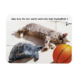 KATZE, SCHALTFLÄCHE UND BASKETBALL MAGNET