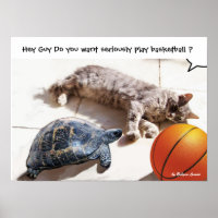 KATZE, SCHALTFLÄCHE UND BASKETBALL