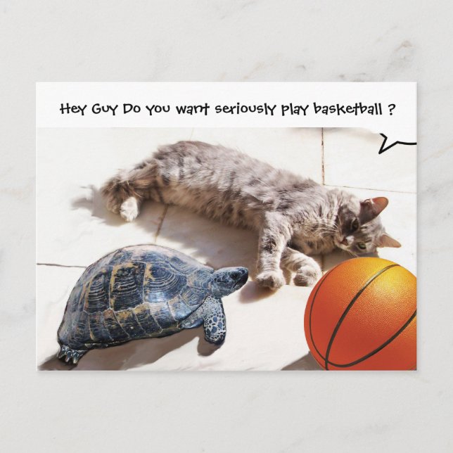 KATZE, SCHALTFLÄCHE UND BASKETBALL POSTKARTE (Vorderseite)