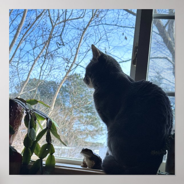 Katze schaut aus dem Fenster Poster (Vorne)