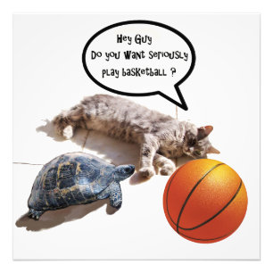 KATZE, SCHILDKRÖTE UND BASKETBALL FOTODRUCK