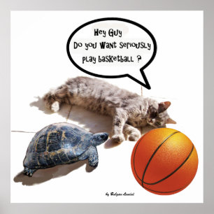 KATZE, SCHILDKRÖTE UND BASKETBALL POSTER