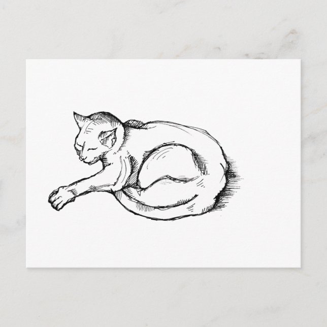 Katze Schlafende Illustration Federzeichnung Kunst Postkarte (Vorderseite)